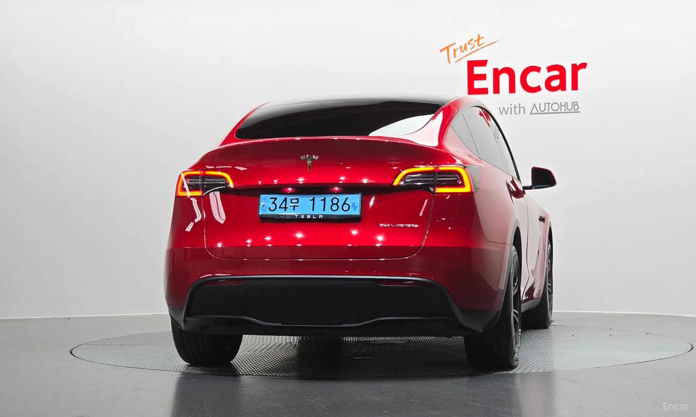 Model Y