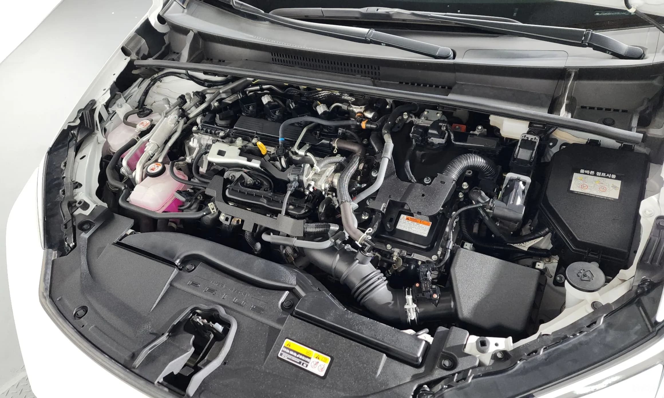 Prius 5th Generation