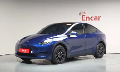 Model Y