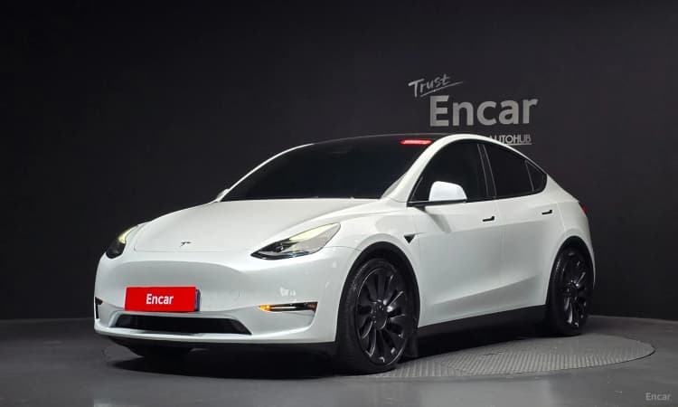 Model Y