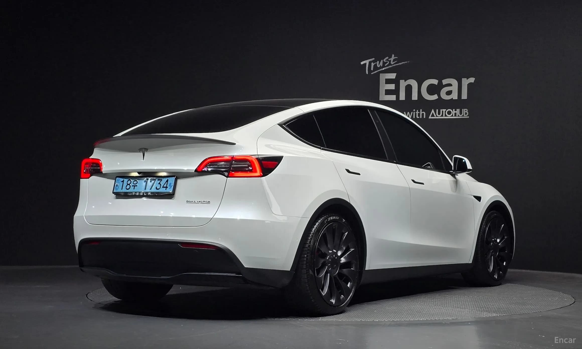 Model Y