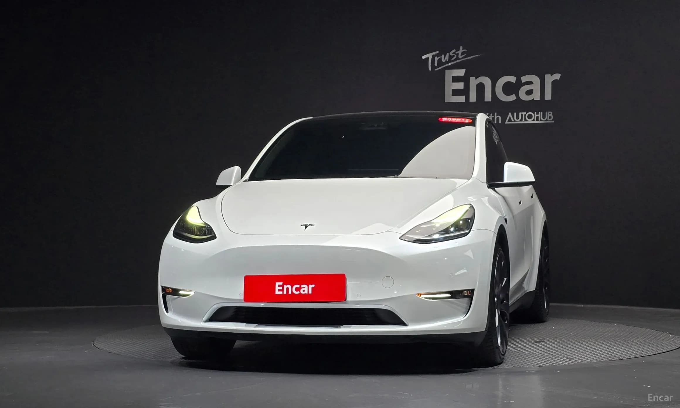 Model Y