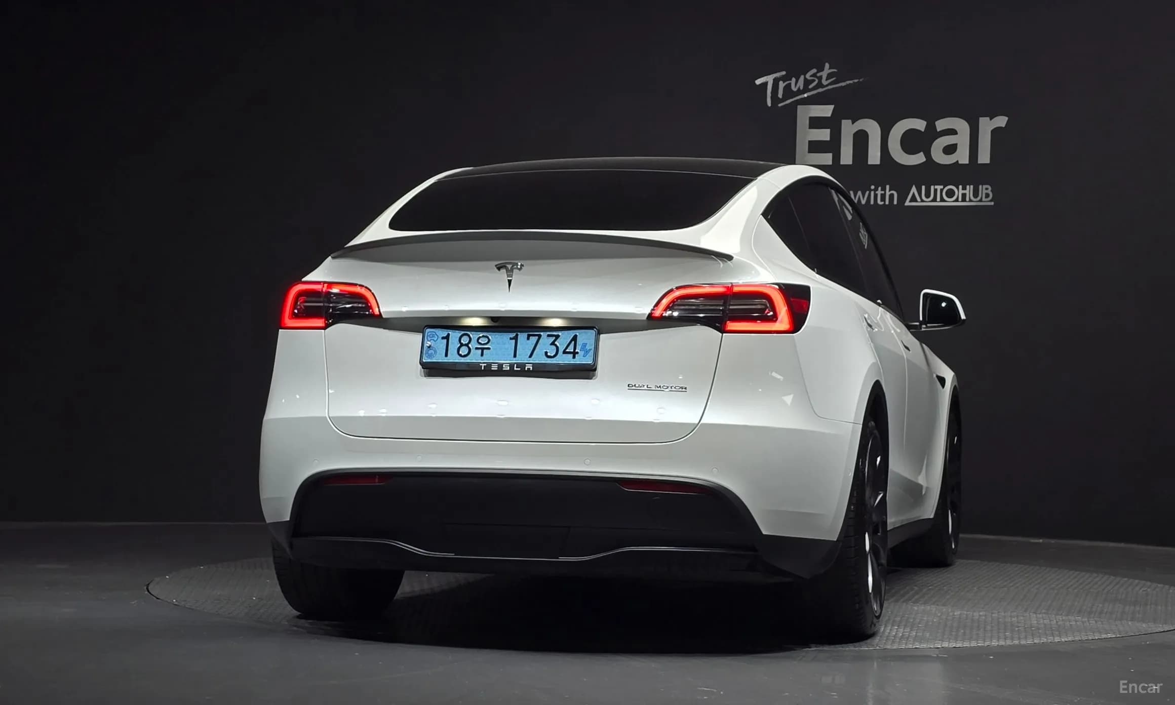 Model Y