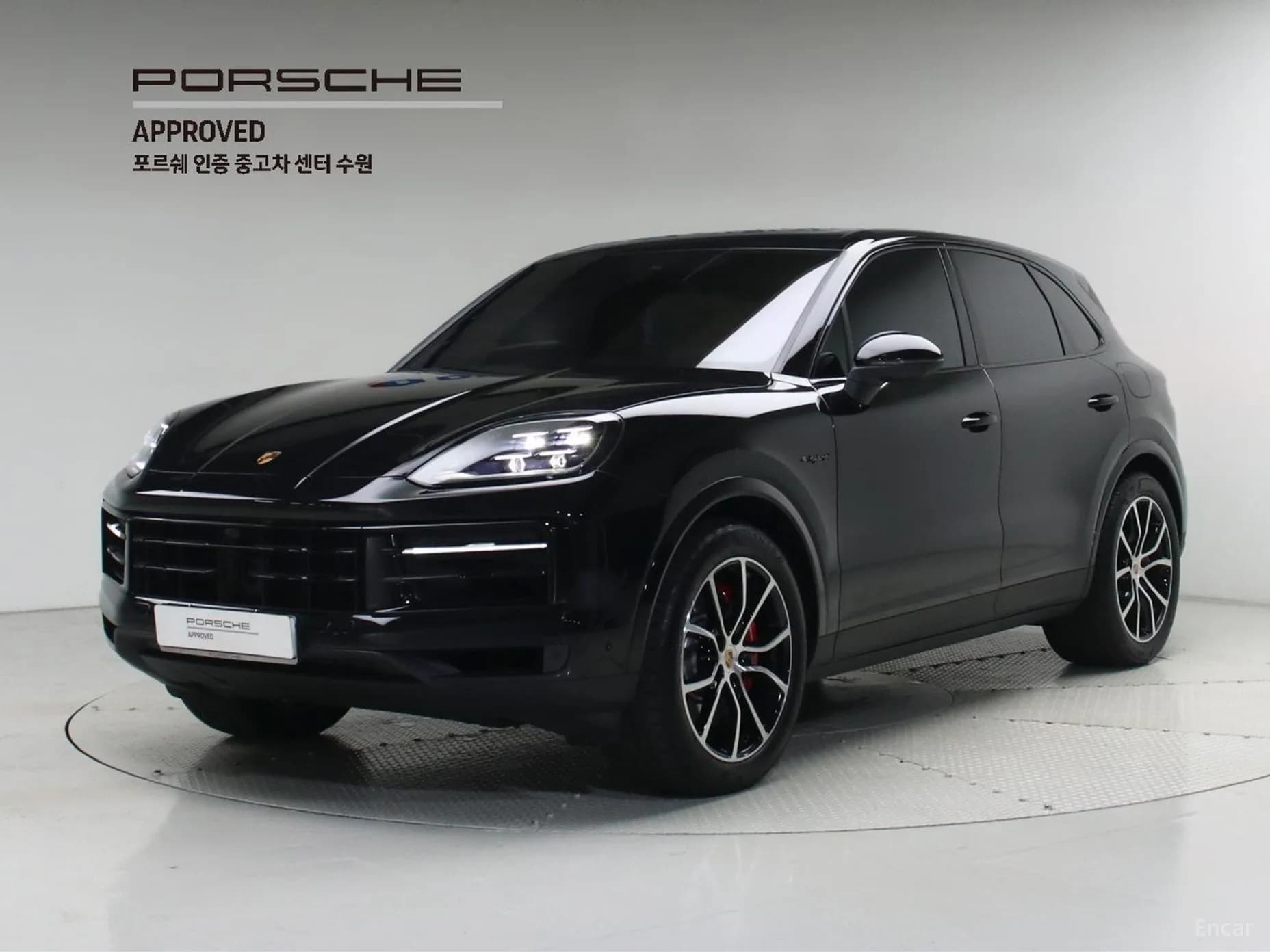 Cayenne (PO536)