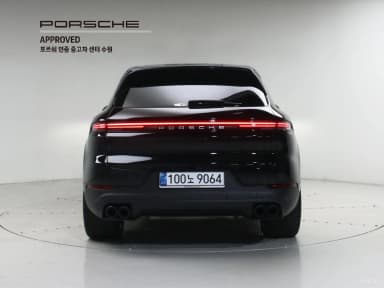 Cayenne (PO536)