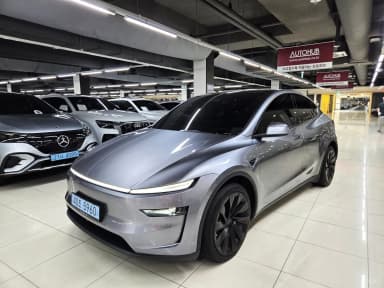 Model Y