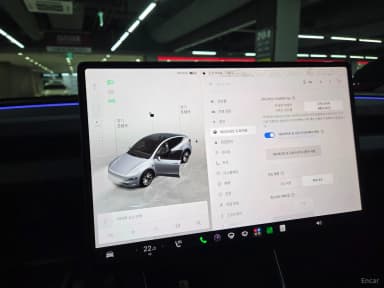 Model Y