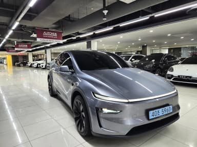 Model Y