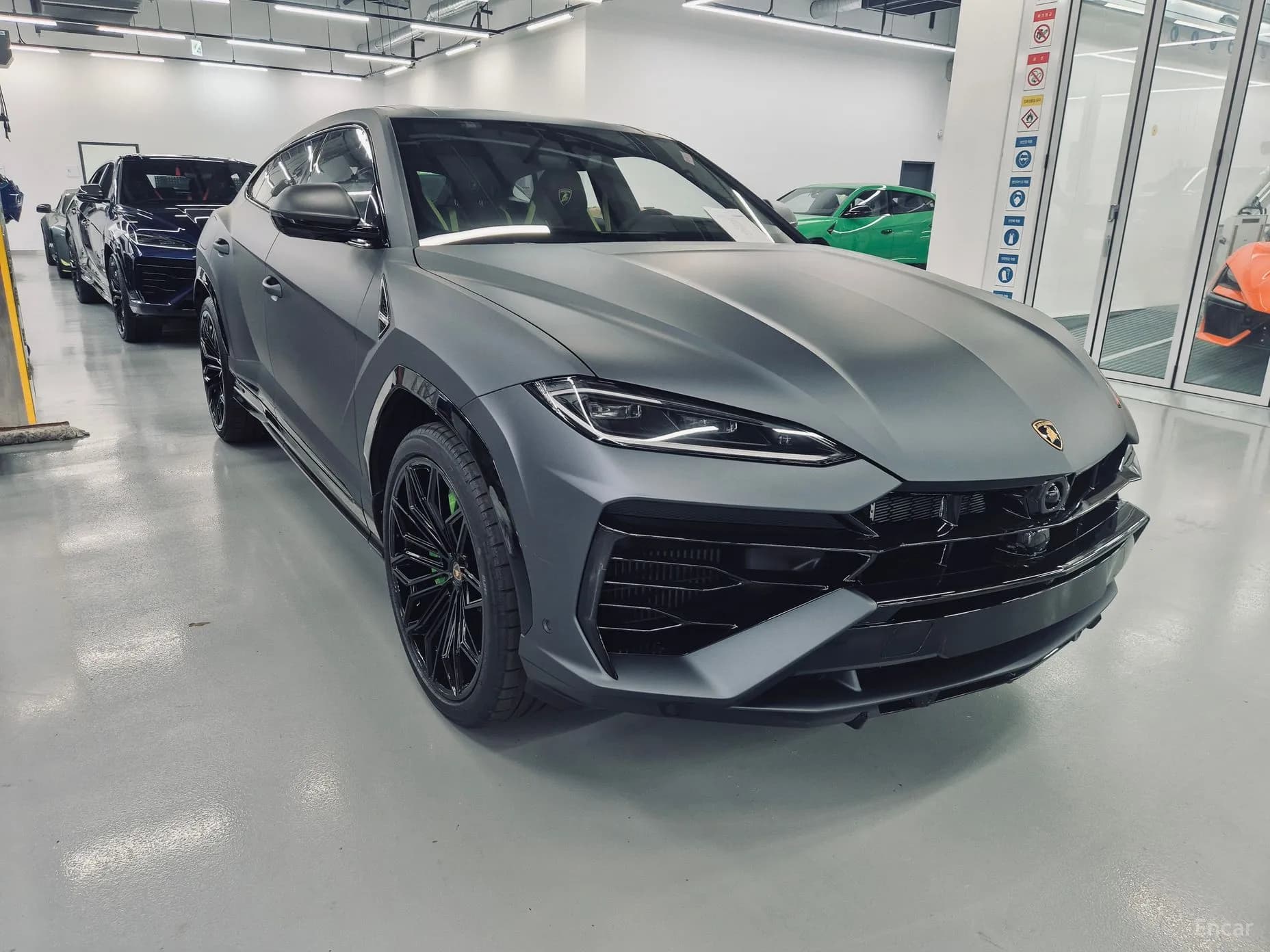 Urus
