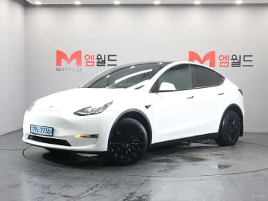 Model Y