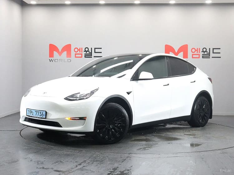 Model Y
