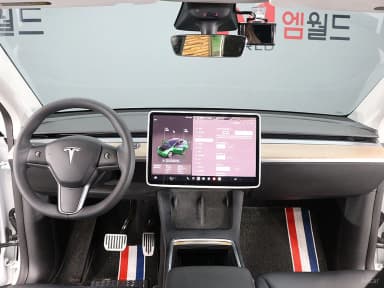 Model Y