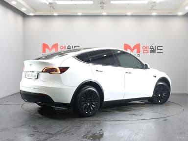Model Y