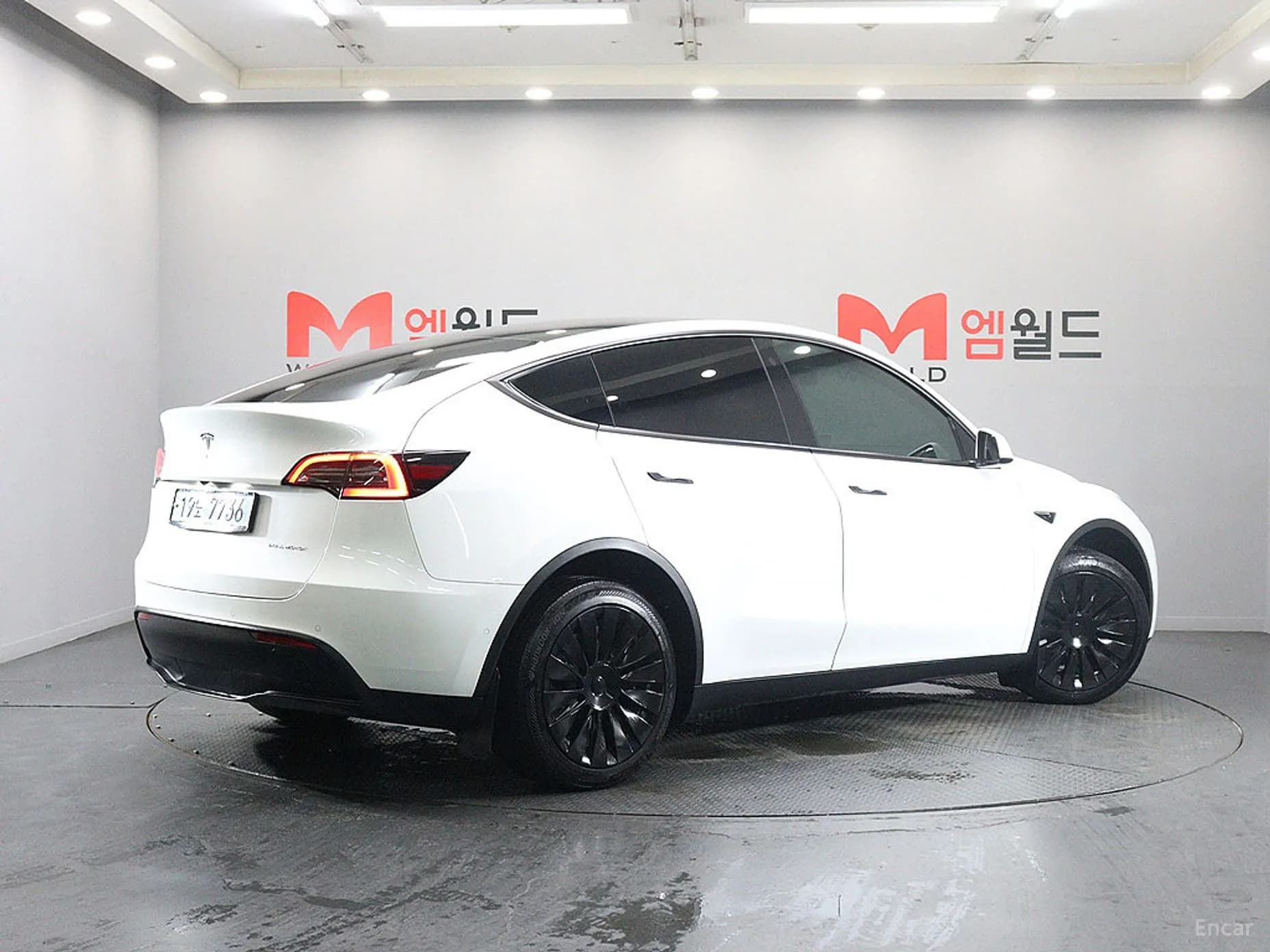 Model Y
