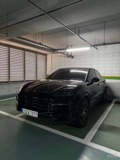 Cayenne (PO536)