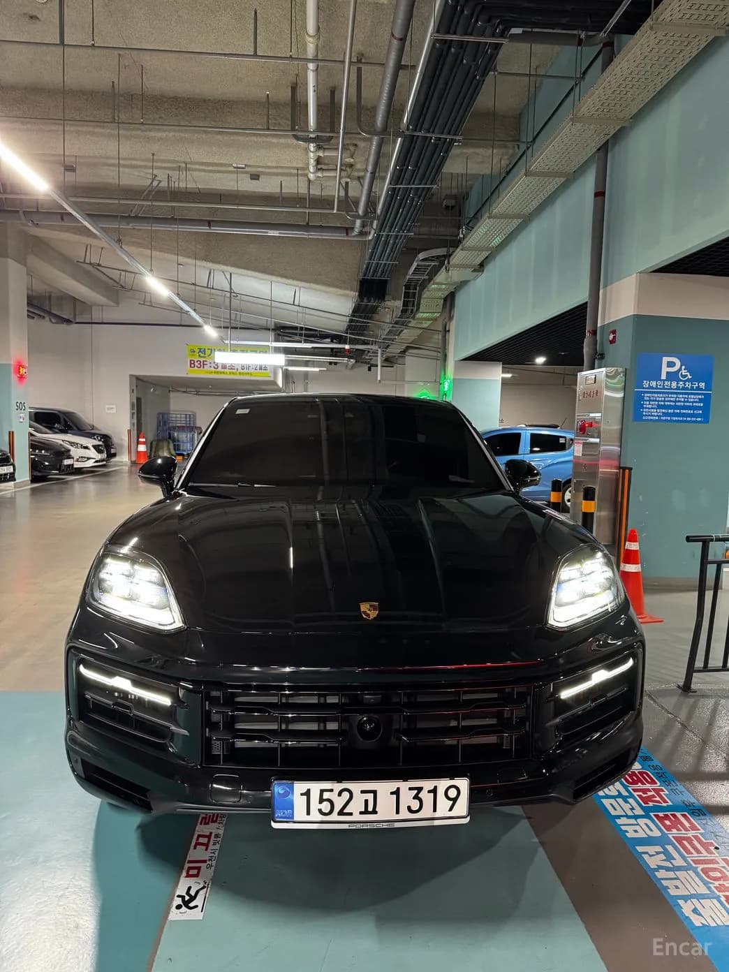 Cayenne (PO536)