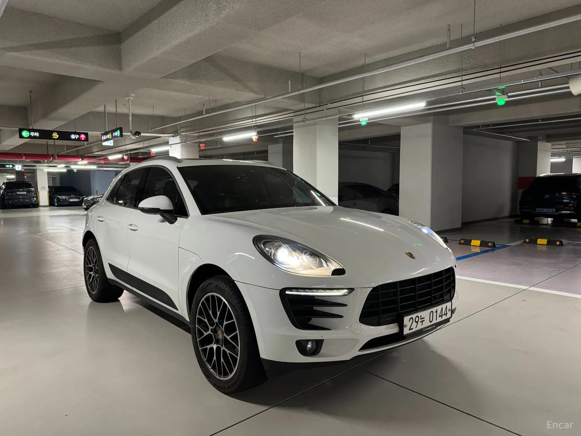 Macan