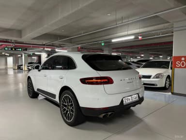 Macan