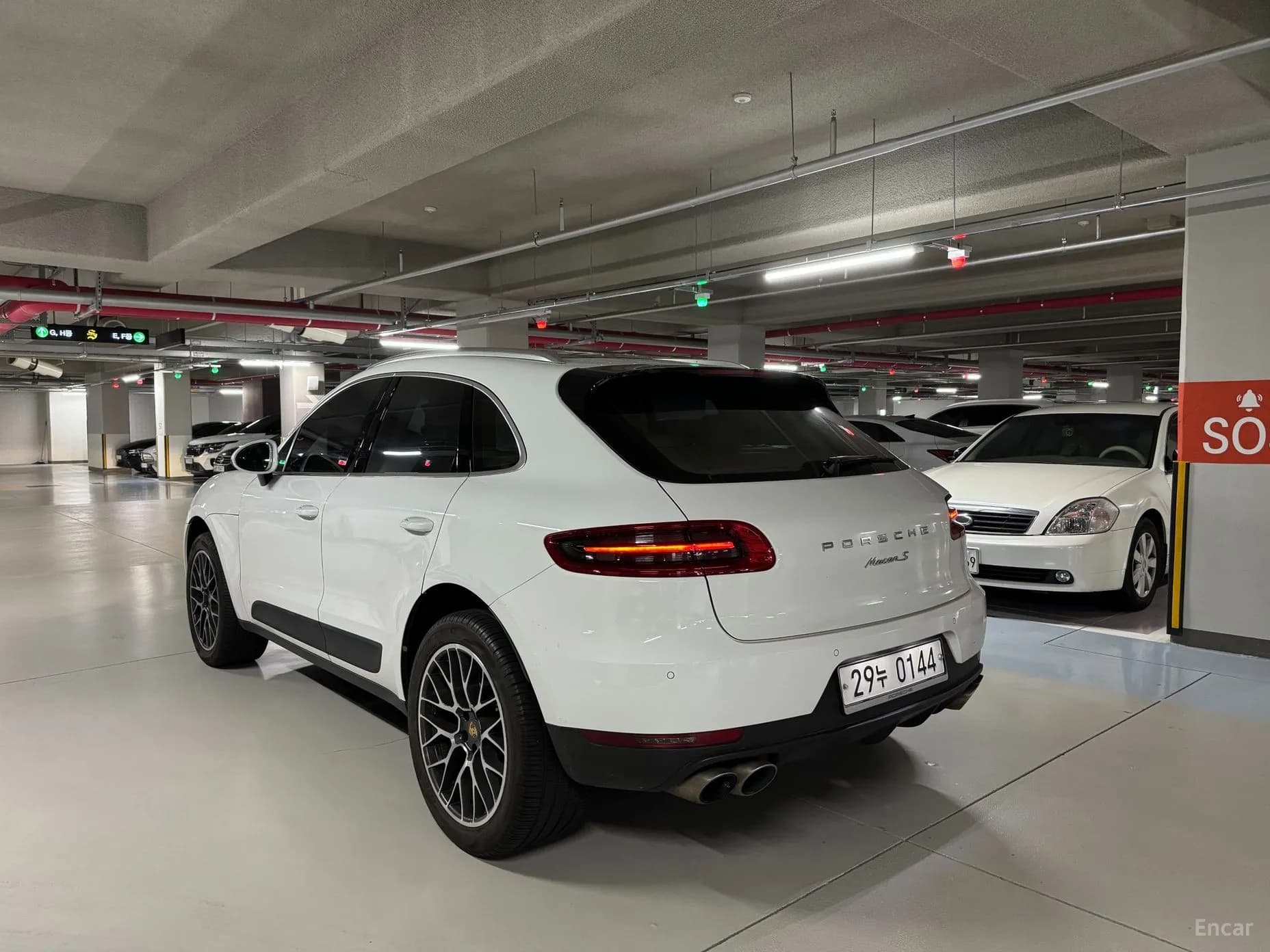 Macan