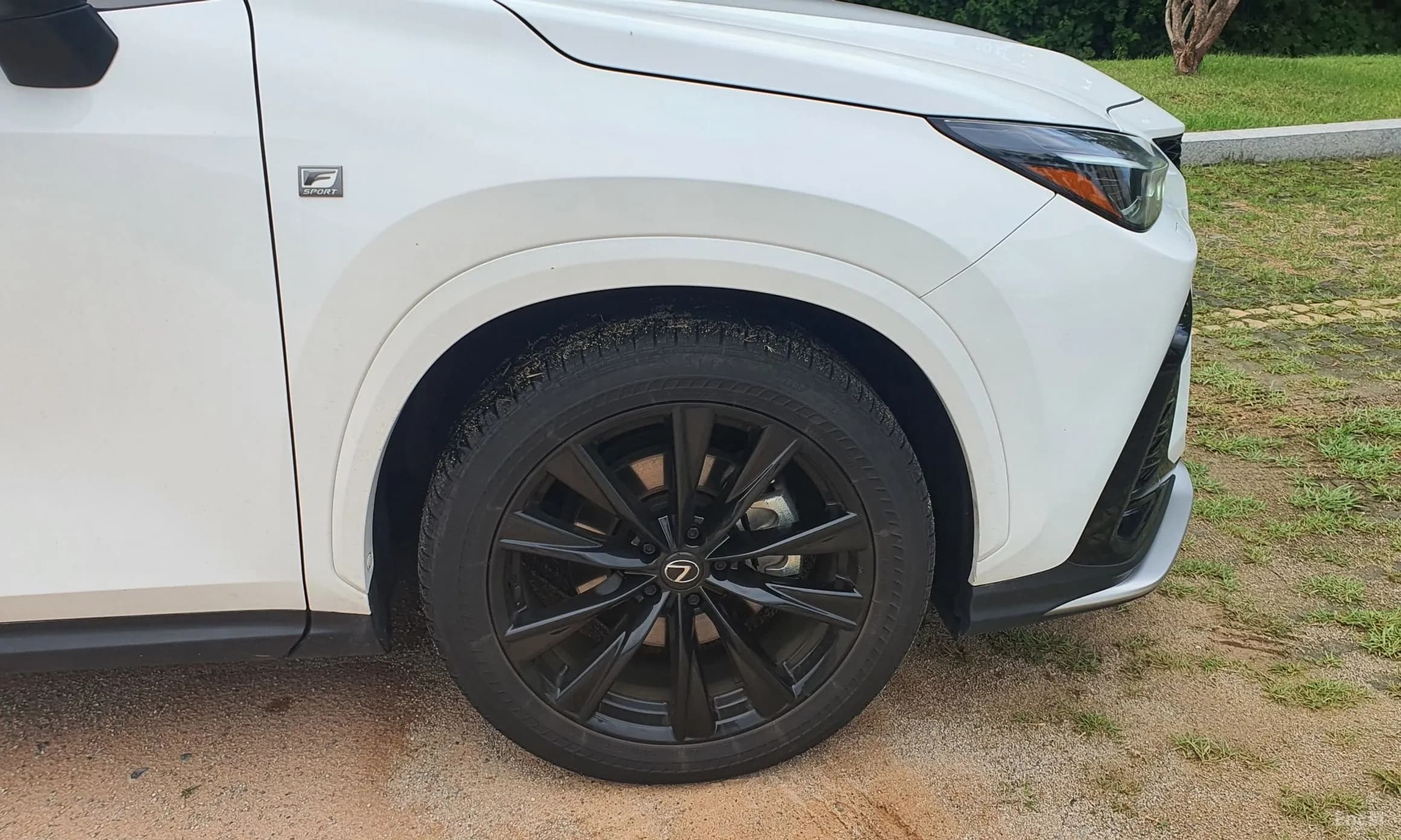 NX450h + 2nd Gen