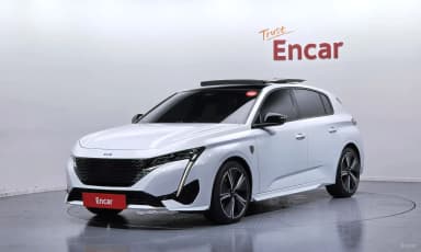 308 Third Generation