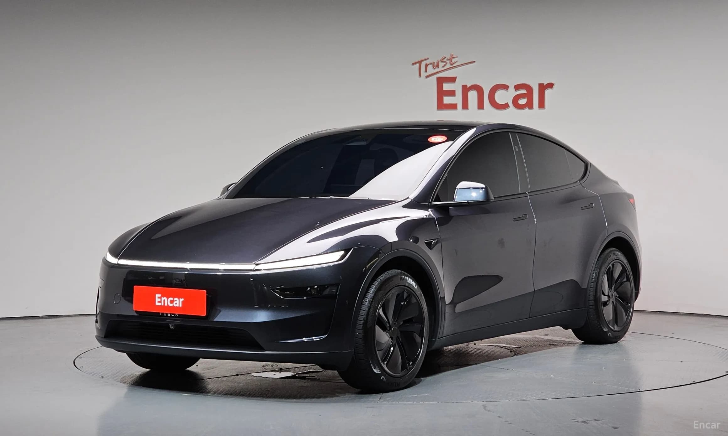 Model Y