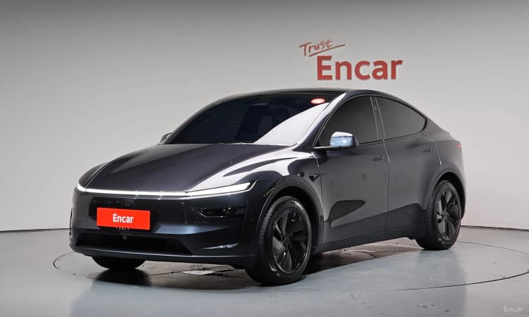 Model Y
