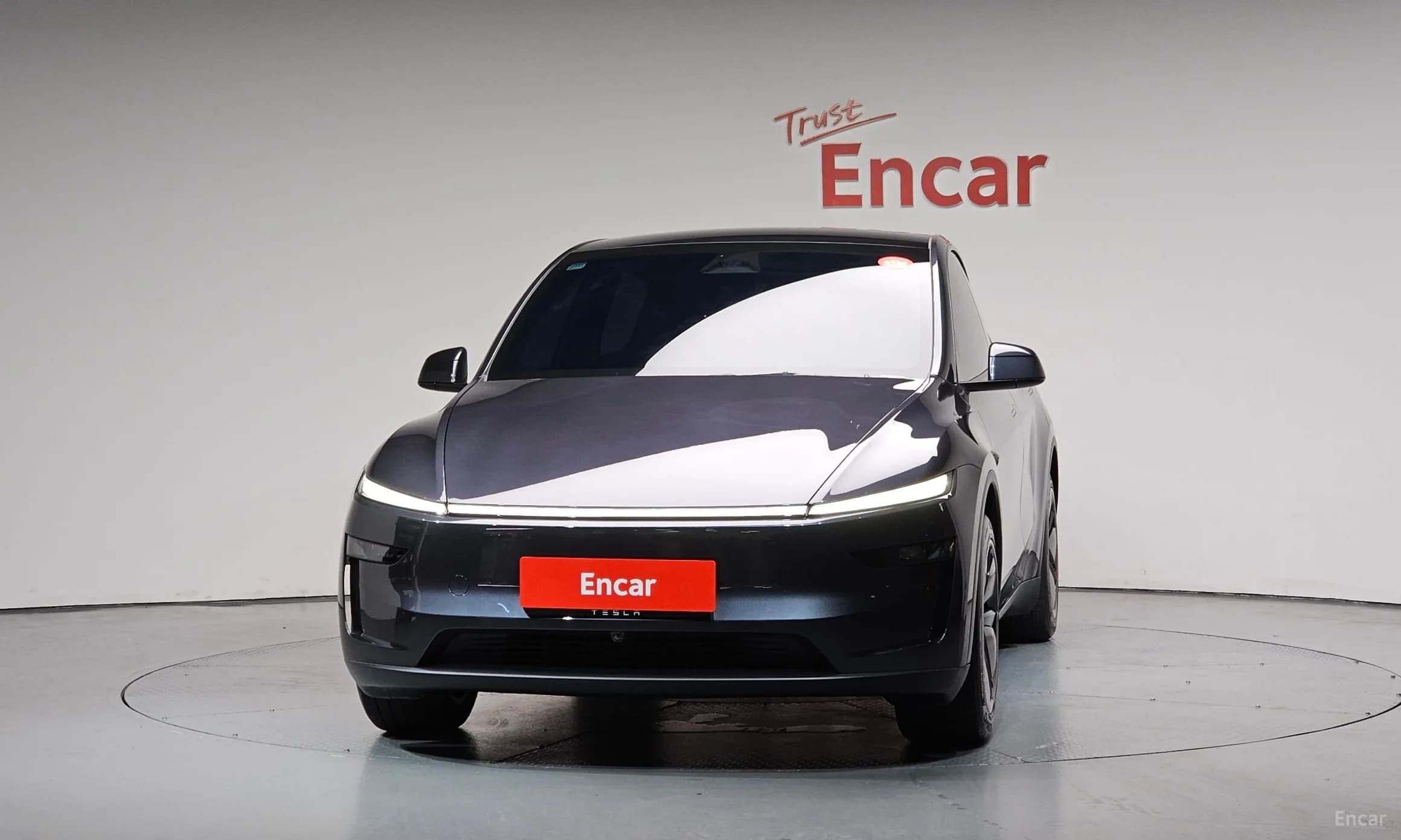 Model Y