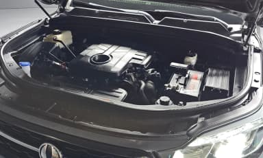 Rexton Sports