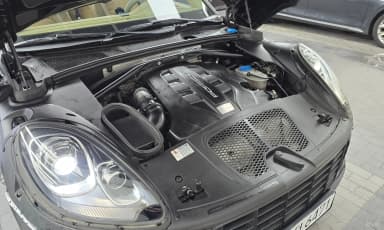 Macan