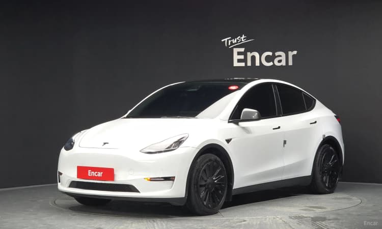 Model Y
