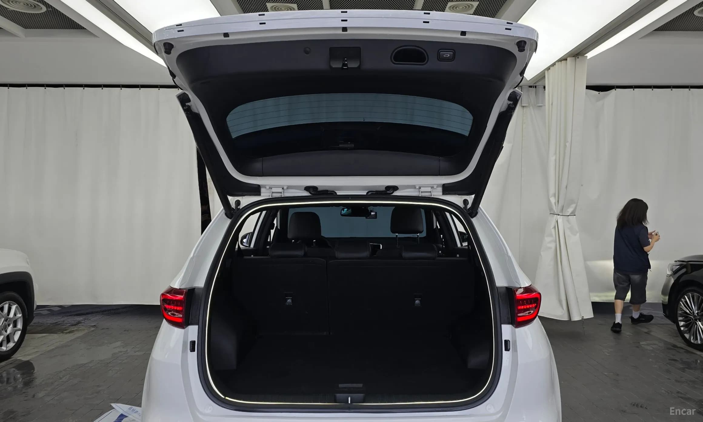 Sportage The Bold