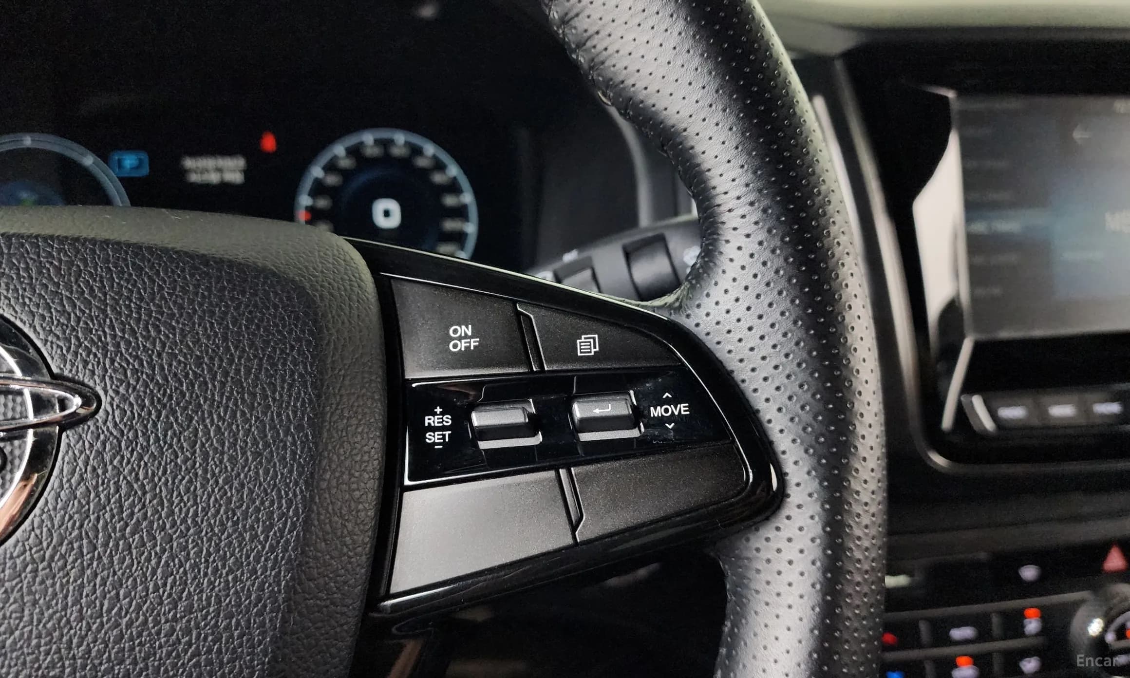 Rexton Sports