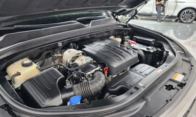 Rexton Sports