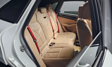 Macan