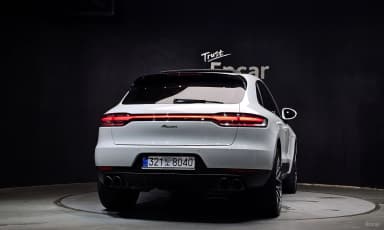 Macan