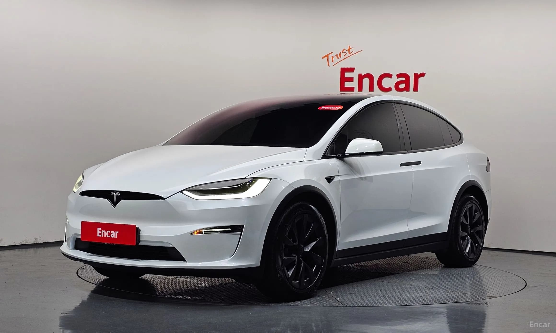 Model X