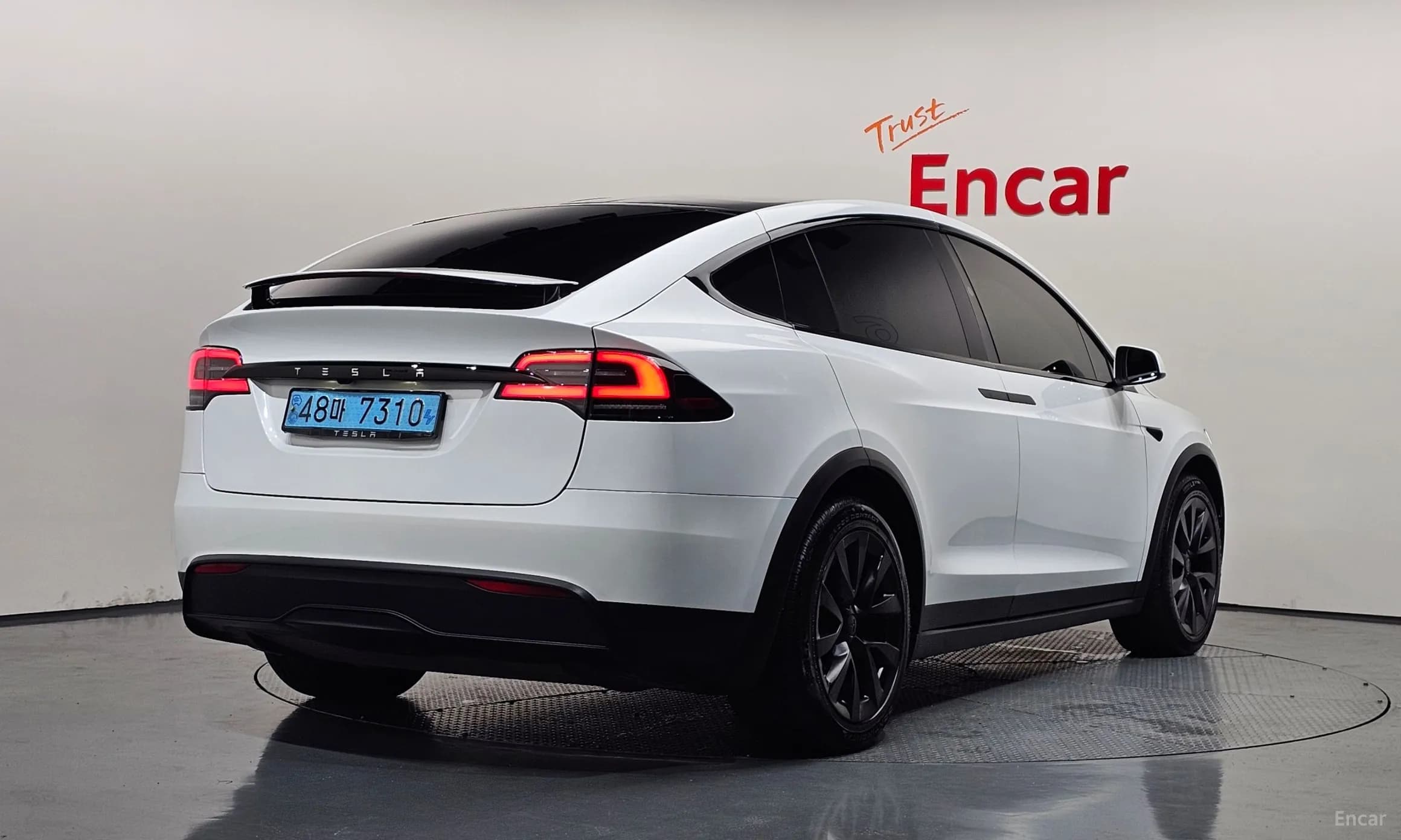 Model X