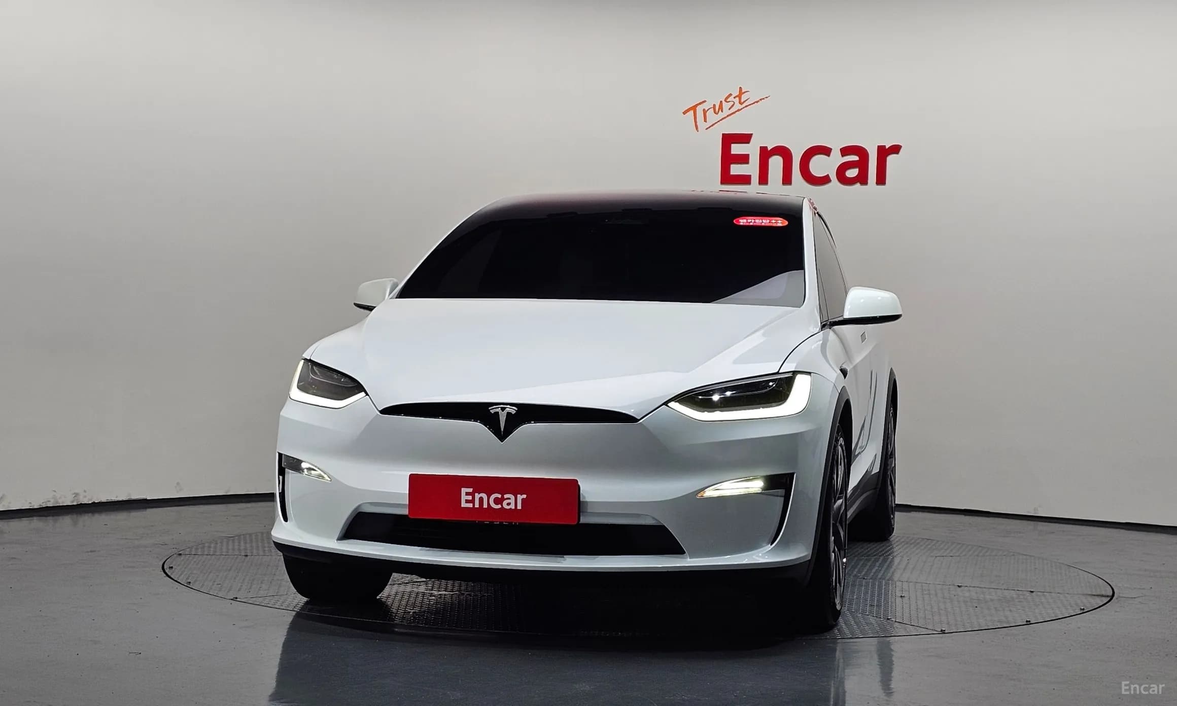 Model X
