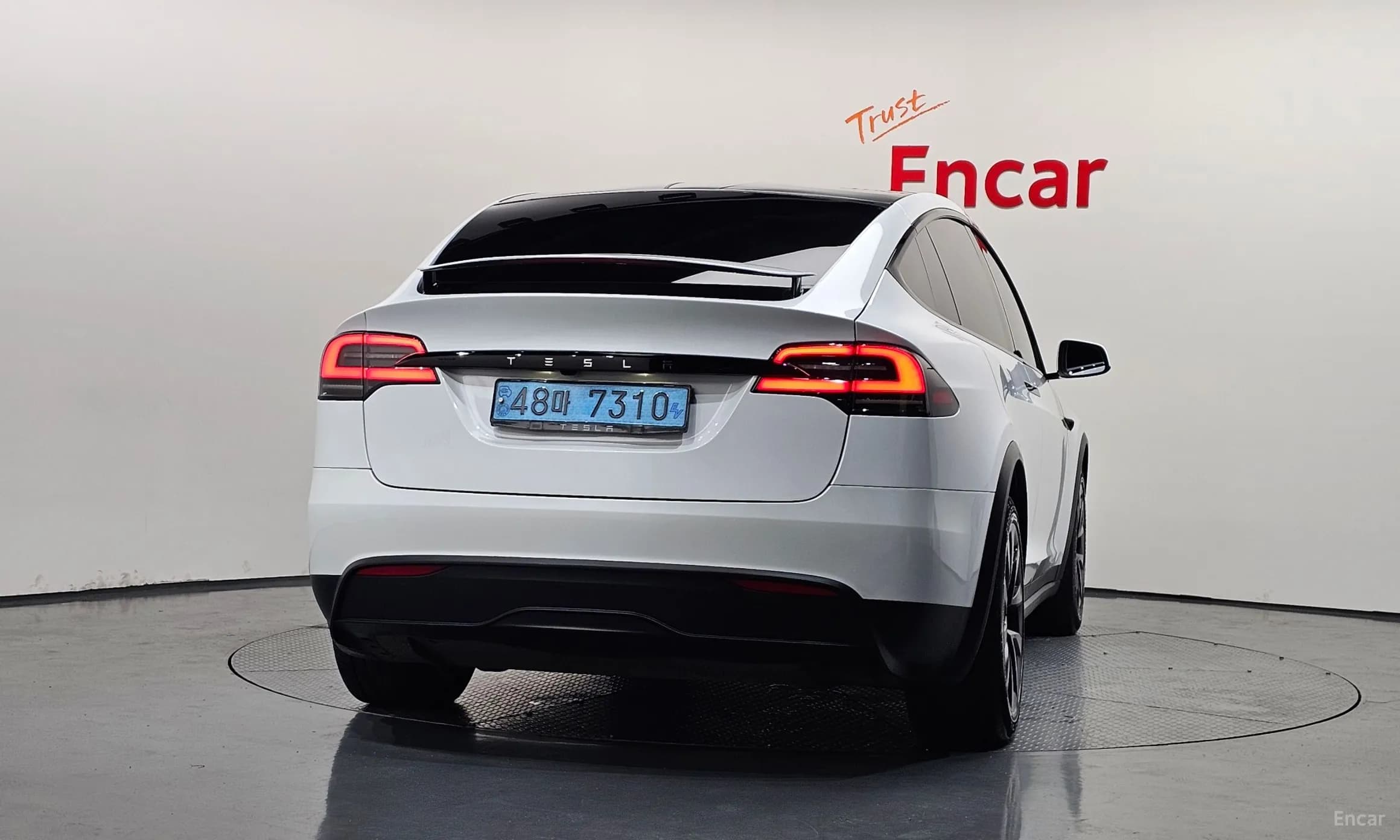 Model X