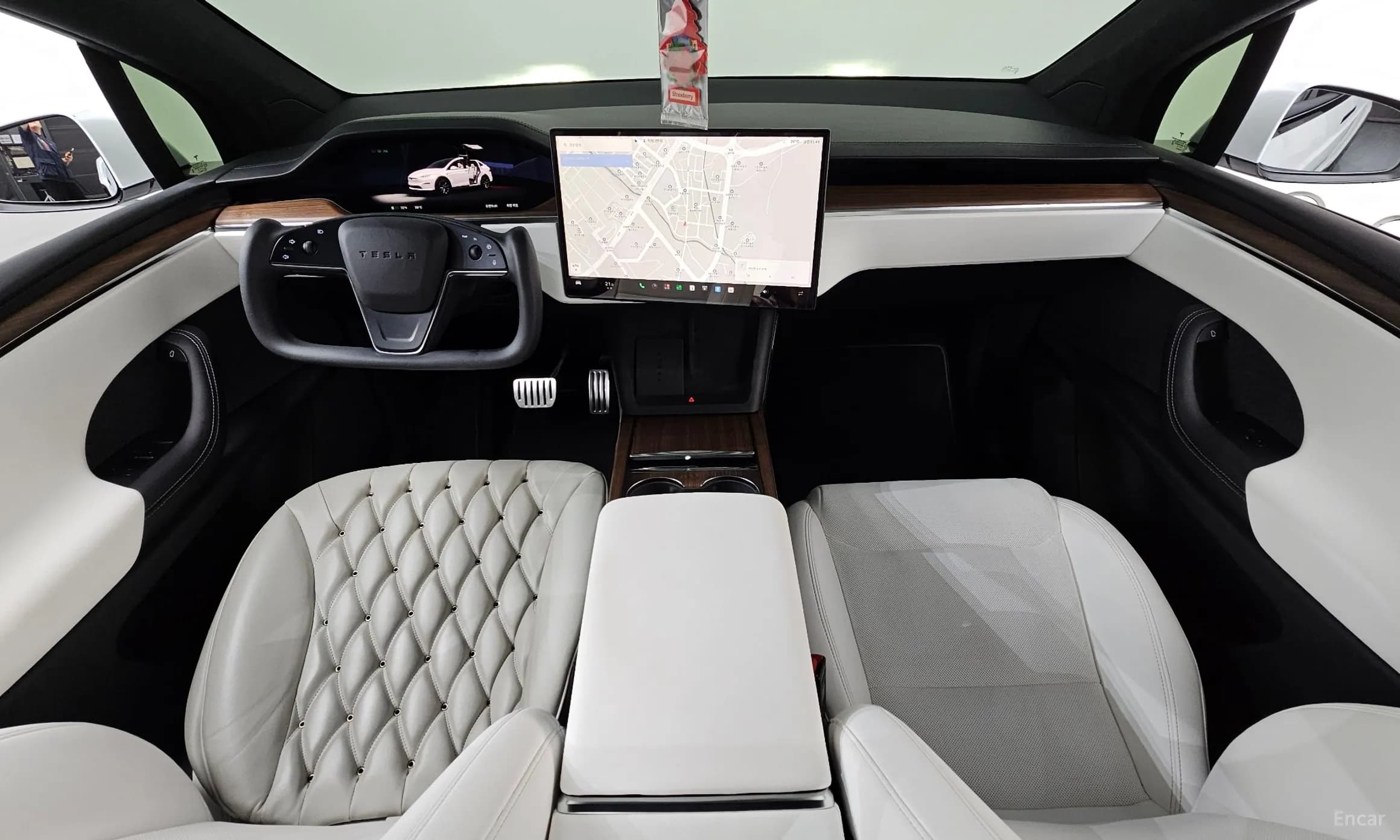 Model X