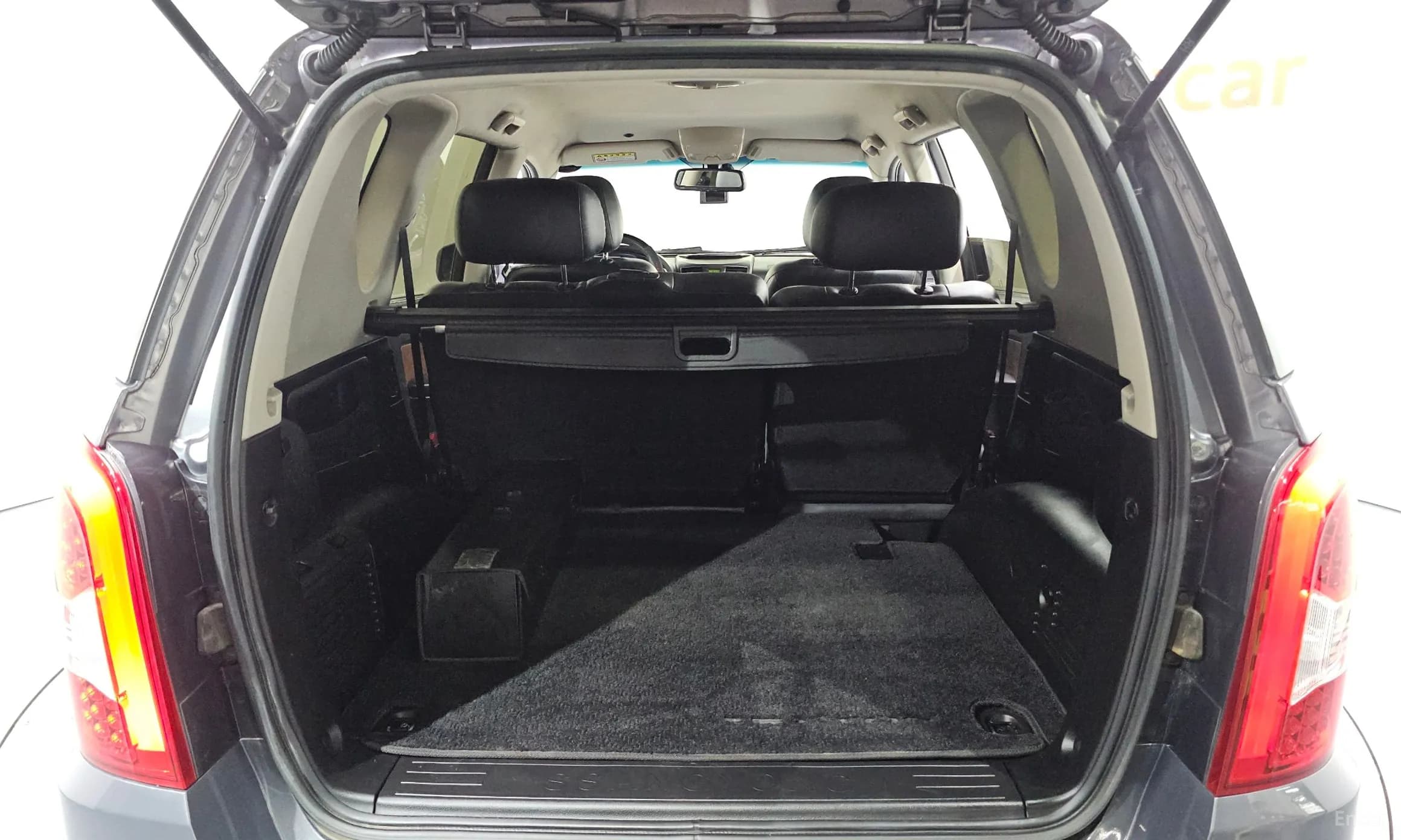Rexton W
