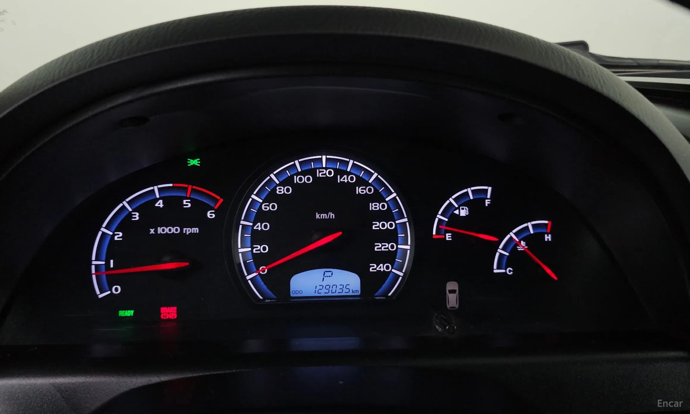 Rexton W