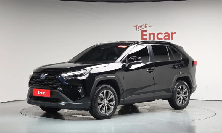 RAV4 5th Generation