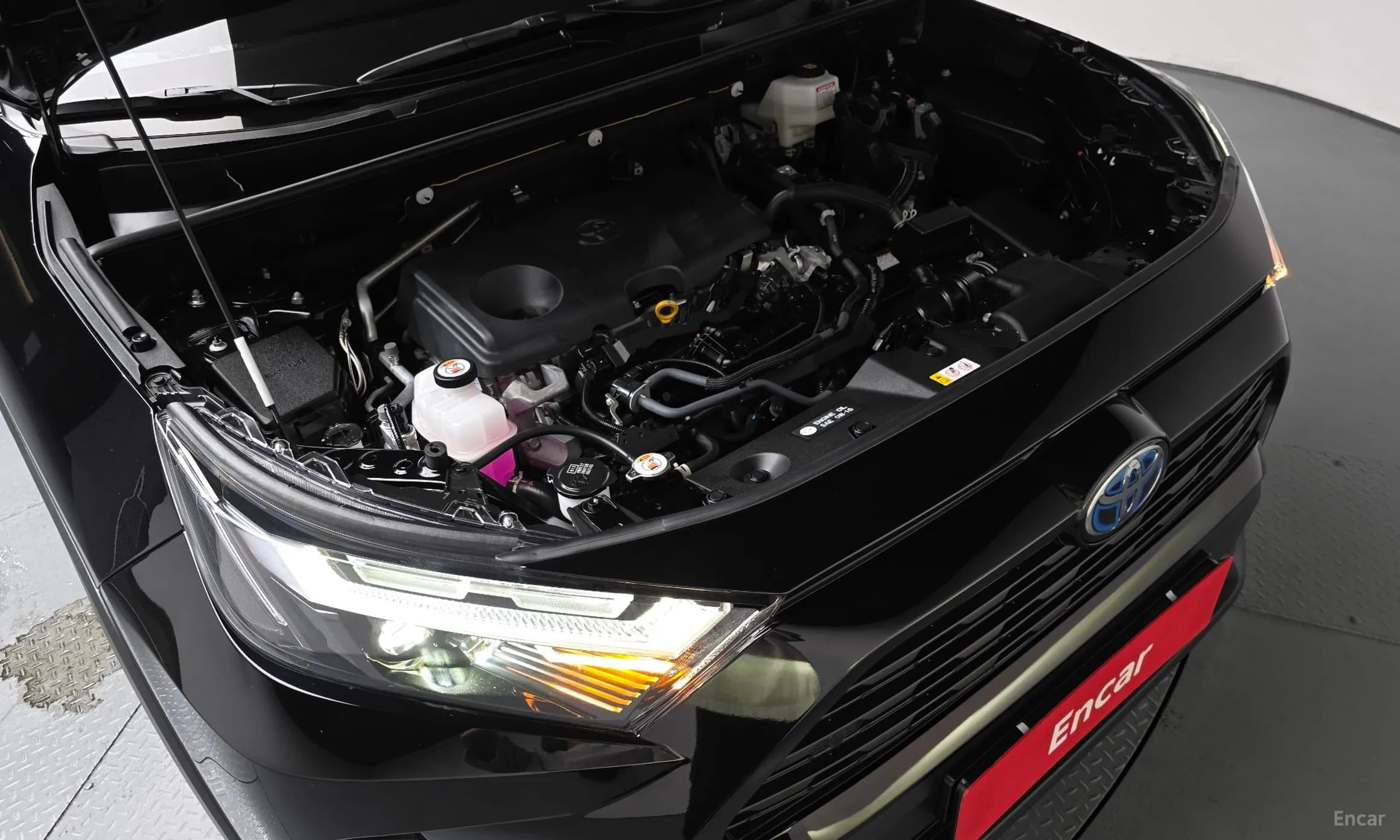 RAV4 5th Generation