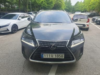 NX300h