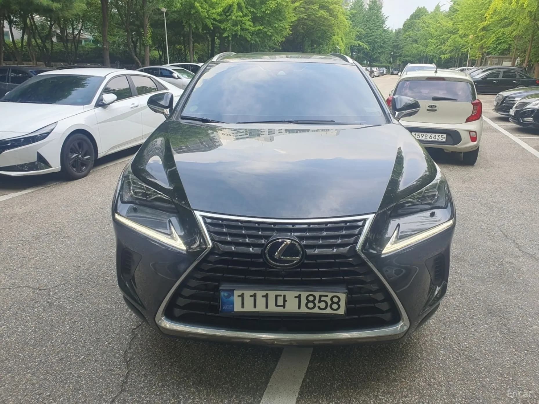 NX300h