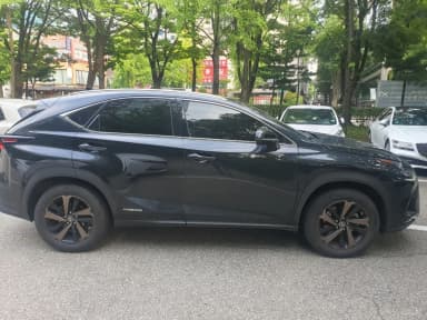 NX300h