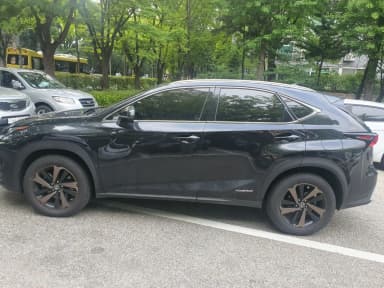 NX300h