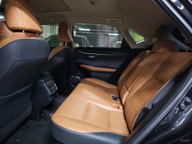 NX300h